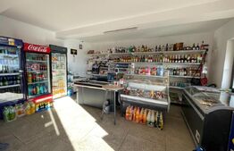 Spațiu comercial de vânzare, 1800 mp, în Vadul Moldovei