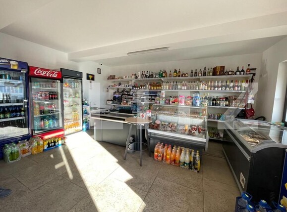 Spațiu comercial de vânzare Vadu Moldovei - 162662SVC | BLITZ Suceava | Poza3