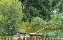 Domeniu situat la poalele Calimanilor