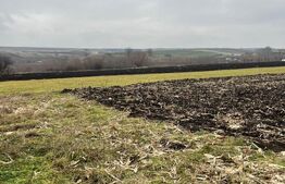 Casa individuala, 2000 mp teren, Dornesti-( sat Iaz)