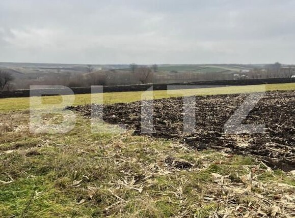 Casa de vânzare 2 camere Dornesti - 163063CV | BLITZ Suceava | Poza12