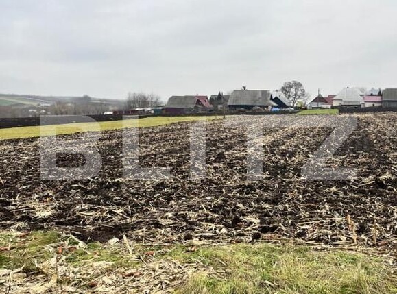 Casa de vânzare 2 camere Dornesti - 163063CV | BLITZ Suceava | Poza11