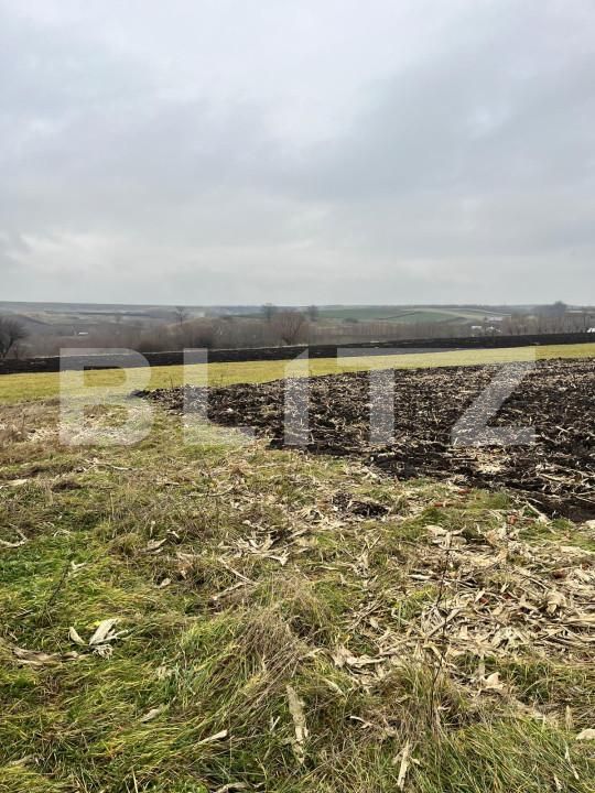 Casa de vânzare 2 camere Dornesti - 163063CV | BLITZ Suceava | Poza12