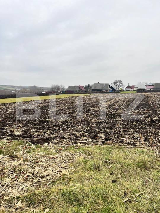 Casa de vânzare 2 camere Dornesti - 163063CV | BLITZ Suceava | Poza11