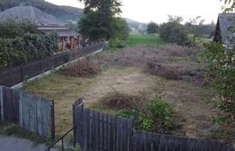 Teren Intravilan, 4.800mp, 14 ml - Preutești/Basarabi