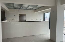 Oportunitate!!! Penthouse, 171 mp plus terasa 447 mp, zona Zamca 