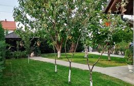 Casa individuala, 6 camere,  250 mp, 600 mp de teren, Suceava (Moara)