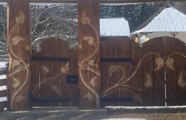 Vânzare 2 case tradiționale, 3 camere + teren, 3450 mp, Campulung Moldovenesc