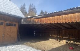 Vânzare 2 case tradiționale, 3 camere + teren, 3450 mp, Campulung Moldovenesc