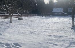 Vânzare 2 case tradiționale, 3 camere + teren, 3450 mp, Campulung Moldovenesc