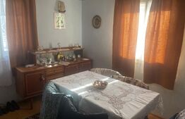 Vânzare 2 case tradiționale, 3 camere + teren, 3450 mp, Campulung Moldovenesc