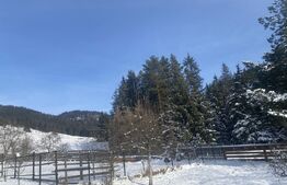 Vânzare 2 case tradiționale, 3 camere + teren, 3450 mp, Campulung Moldovenesc