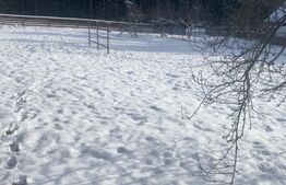 Vânzare 2 case tradiționale, 3 camere + teren, 3450 mp, Campulung Moldovenesc