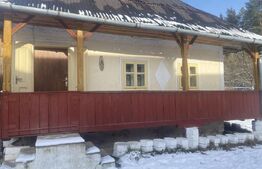 Vânzare 2 case tradiționale, 3 camere + teren, 3450 mp, Campulung Moldovenesc