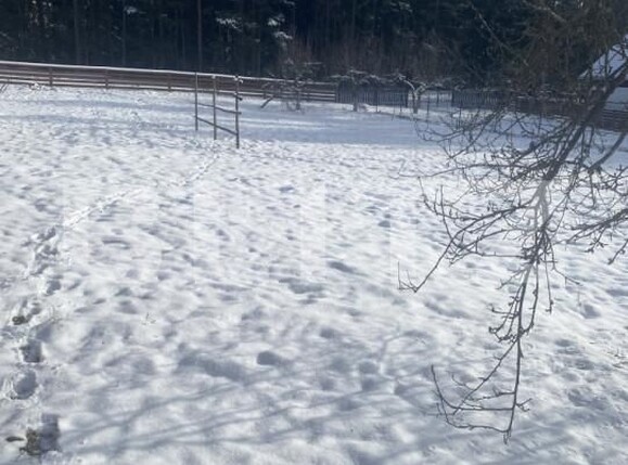 Casa de vânzare 3 camere Exterior Vest - 163734CV | BLITZ Suceava | Poza10