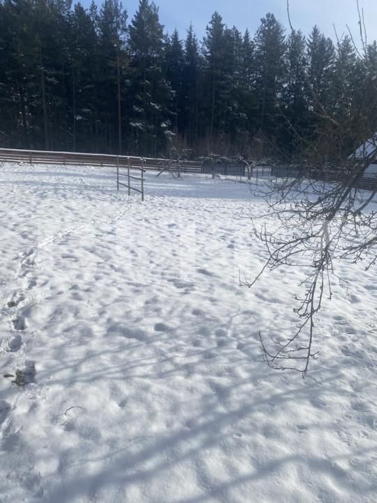 Casa de vânzare 3 camere Exterior Vest - 163734CV | BLITZ Suceava | Poza10