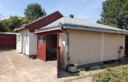 Casa cu 3 camere + 1800mp teren, Siret