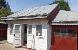 Casa cu 3 camere + 1800mp teren, Siret