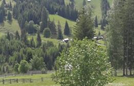 Casă la roșu, 6 camere, 167 mp, în zona Cozănești, Suceava