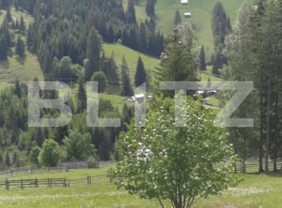 Casa de vânzare 6 camere Exterior Vest - 163868CV | BLITZ Suceava | Poza10