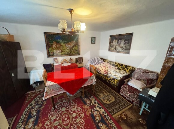 Casa de vânzare 4 camere Vatra Dornei - 163889CV | BLITZ Suceava | Poza10