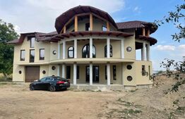 Casa cu 10 camere, 550 mp utili, 10.000 mp teren, Zvoristea, Suceava