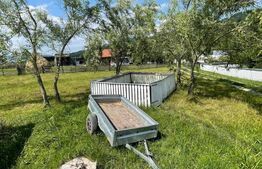 Oportunitate! Casa individuala, 6 camere, 100 mp, 2 ha teren, Caverca