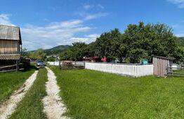 Oportunitate! Casa individuala, 6 camere, 100 mp, 2 ha teren, Caverca