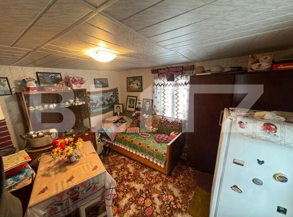 Casa de vânzare 6 camere Vatra Dornei - 163933CV | BLITZ Suceava | Poza13