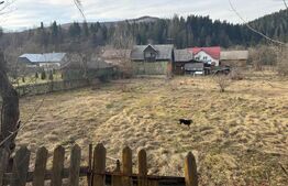 Casa batraneasca  , teren 2064mp, Sucevita