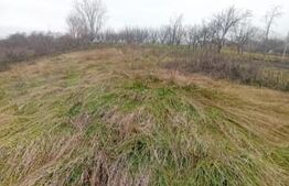 Teren intravilan, 1200 mp, zona Liteni-Moara