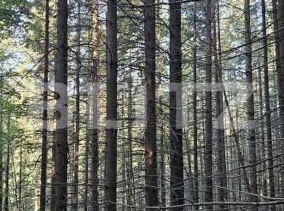 Teren de vânzare Exterior Vest - 164254TV | BLITZ Suceava | Poza2