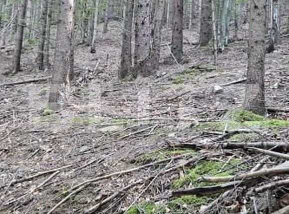 Teren de vânzare Exterior Vest - 164254TV | BLITZ Suceava | Poza1