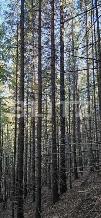 Teren de vânzare Exterior Vest - 164254TV | BLITZ Suceava | Poza2