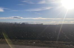 Teren extravilan, 4200mp, zona Temnic, Radauti