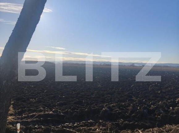 Teren de vânzare Radauti - 164269TV | BLITZ Suceava | Poza2