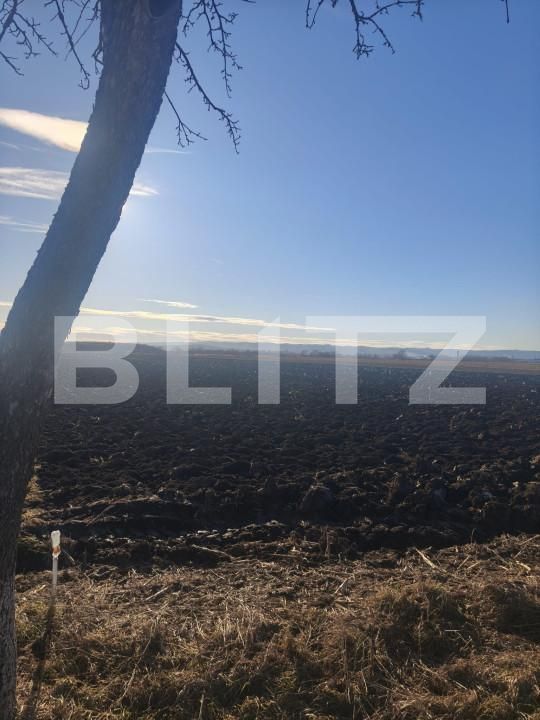 Teren de vânzare Radauti - 164269TV | BLITZ Suceava | Poza2