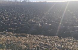 Teren intravilan, 2600mp str Horodnicului, Radauti