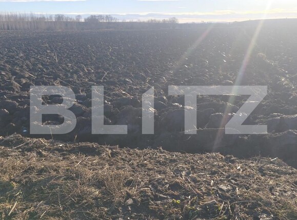 Teren de vânzare Radauti - 164270TV | BLITZ Suceava | Poza1