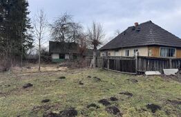 Casa batraneasca , teren 1300mp, Horodnic de Jos