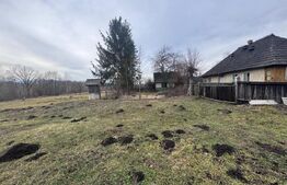 Casa batraneasca , teren 1300mp, Horodnic de Jos