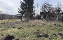 Casa batraneasca , teren 1300mp, Horodnic de Jos