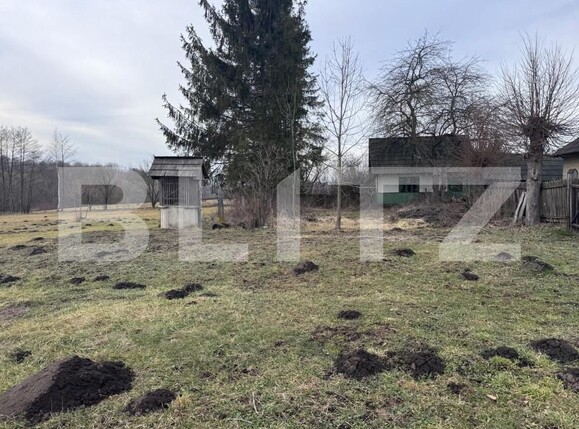 Casa de vânzare 3 camere Horodnic - 164343CV | BLITZ Suceava | Poza5