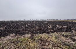 Teren intravilan, 3800mp , Fratautii vechi