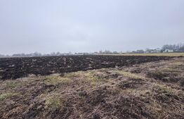 Teren intravilan, 3800mp , Fratautii vechi