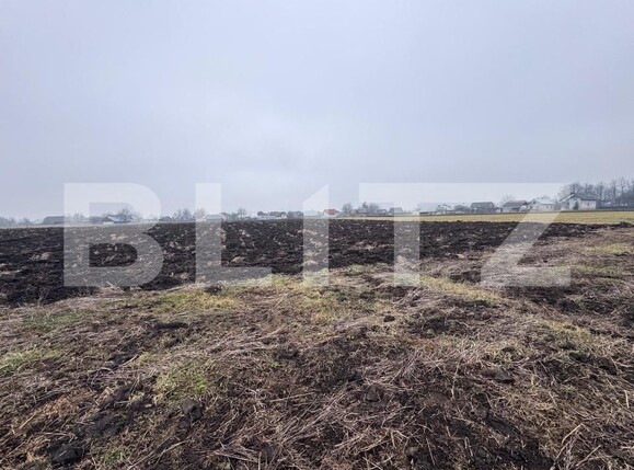 Teren de vânzare Fratautii Vechi - 164431TV | BLITZ Suceava | Poza2