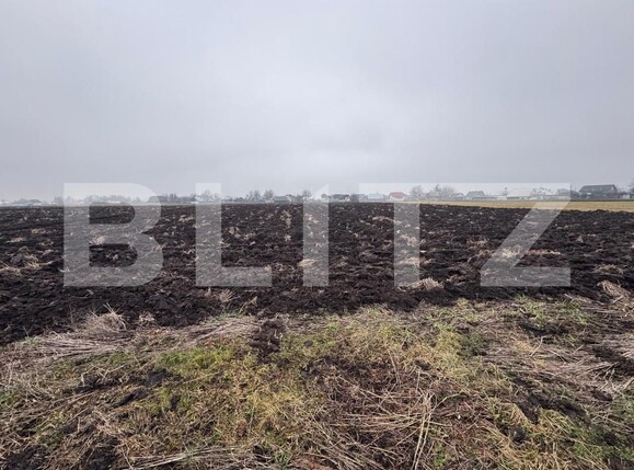 Teren de vânzare Fratautii Vechi - 164431TV | BLITZ Suceava | Poza1