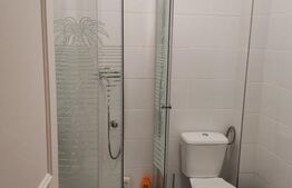 Apartament de vanzare, 37 mp, zona Ipotesti