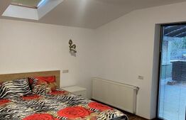 Casa de vanzare, cu 4  camere, 268 mp + teren 786 mp, zona-Moara