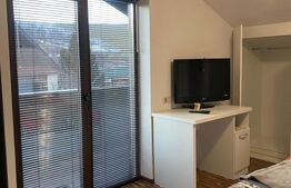 Casa de vanzare, cu 4  camere, 268 mp + teren 786 mp, zona-Moara